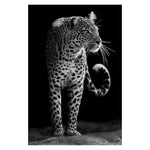 Canvas Painting Animal Wall Art