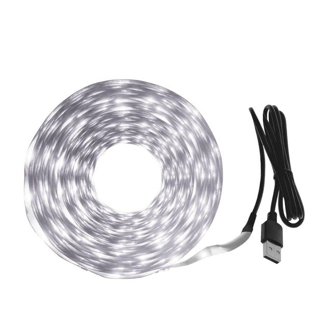 LED Strip Light